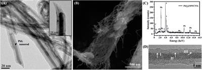 Encapsulation of Fullerenes: A Versatile Approach for the Confinement and Release of Materials Within Open-Ended Multiwalled Carbon Nanotubes